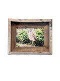 Burrowing Owl- FRAMED 5x7 Wood Print