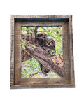 Owl Pair- FRAMED 8x10 wood print