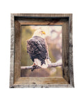 Sunset Eagle- FRAMED 8x10 wood print
