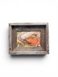 Trout Face- FRAMED 5x7 Wood Print