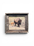 Mama & Baby Bison- FRAMED 8x10 wood print