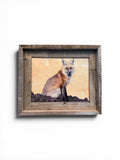 Red Fox Sitting- FRAMED 8x10 wood print