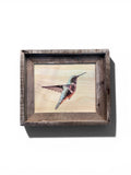 Suspended Anna's Hummingbird- FRAMED 8x10 wood print