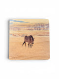 Coaster- Horse in Montana