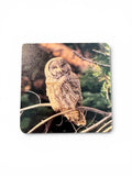 Coaster- Great Gray Owl