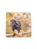 Coaster- Sunset Eagle