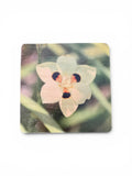 Coaster- Iris