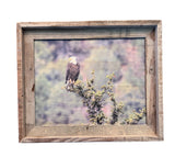 Overlooking Eagle- FRAMED 11x14 wood print