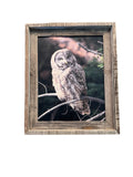 Great Gray Owl- FRAMED 11x14 wood print