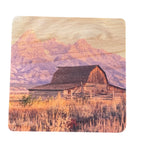Coaster- Moulton Barn Sunrise