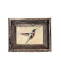 Suspended Anna's Hummingbird- FRAMED- 5x7 Wood Print