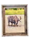 Thirsty Moose- FRAMED 11x14 Wood Print