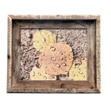 Aspen Leaves- FRAMED 8x10 wood print
