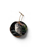 Ornament- Great Grey Owl