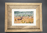 "Buck in a Field" 5x7 print