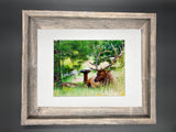 "Elk and Birdbath" 5x7 print