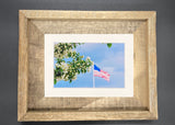 "Flag & Flower" 5x7 print