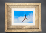 "Great Blue Heron" 5x7 print