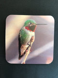 Coaster- Hummingbird