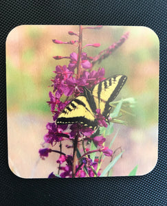 Coaster-Butterfly on Wildflower wood photo coaster