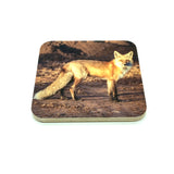 Coaster- Fox Profile