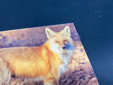 Red Fox Profile- FRAMED 5x7 Wood Print