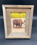 Thirsty Moose- FRAMED 5x7 Wood Print