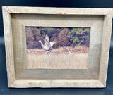 Sandhill Cranes- FRAMED 5x7Wood Print