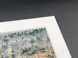 "Buck in a Field" 5x7 print