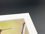 "Perched Hummingbird" 5x7 print