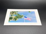 "Flag & Flower" 5x7 print
