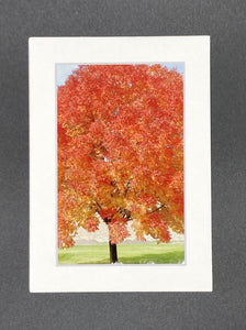 "Tree in Bloom" 5x7 print