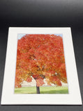 "Tree in Bloom" 5x7 print