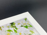 "Flowering Crabapple" 5x7 print