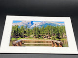 "Sprague Lake" 5x7 print