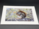 "Snacking Squirrel" 5x7 print