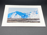 "Caribou in Alaska" 5x7 print