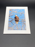 "Bald Eagle Stare Down" 5x7 print