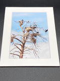 "Heron Tree" 5x7 print