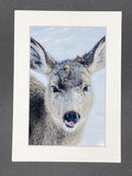 "Snowy Deer" 5x7 print