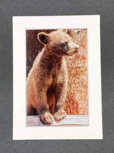 "Bear Cub" 5x7 print