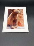 "Bear Cub" 5x7 print