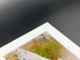 "Fly Rod" 5x7 print