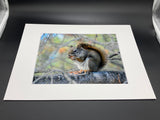 Snacking Squirrel photo print- 11x14