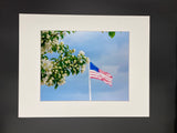 Flag & Flower photo print- 11x14