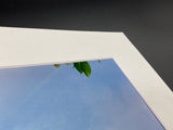 Flag & Flower photo print- 11x14