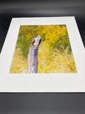 Overlooking Osprey photo print- 11x14