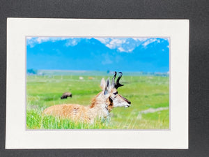 "Montana Scene" 5x7 print