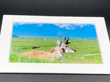 "Montana Scene" 5x7 print