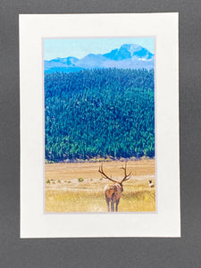 "Layers of Colorado" 5x7 print